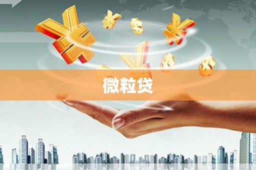 全州微粒贷