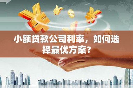 全州小额贷款公司利率，如何选择最优方案？