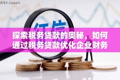 全州探索税务贷款的奥秘，如何通过税务贷款优化企业财务