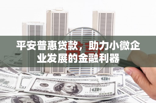 全州平安普惠贷款，助力小微企业发展的金融利器