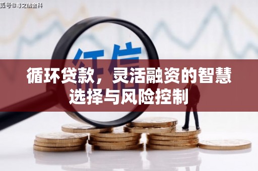 全州循环贷款，灵活融资的智慧选择与风险控制