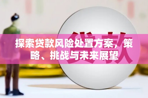 全州探索贷款风险处置方案，策略、挑战与未来展望