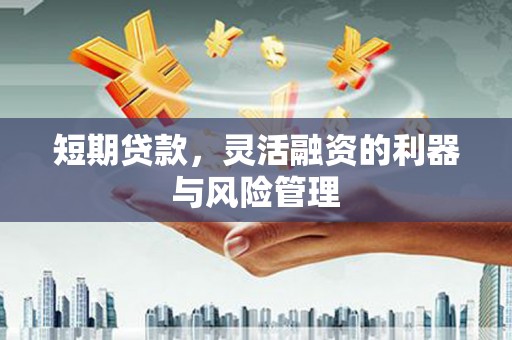 全州短期贷款，灵活融资的利器与风险管理