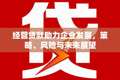 全州经营贷款助力企业发展，策略、风险与未来展望