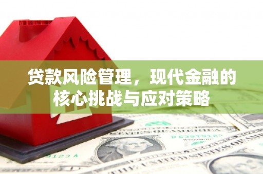 全州贷款风险管理，现代金融的核心挑战与应对策略