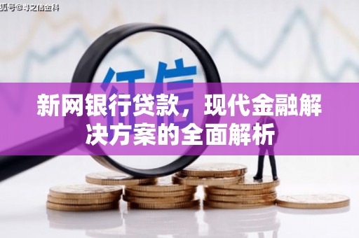全州新网银行贷款，现代金融解决方案的全面解析