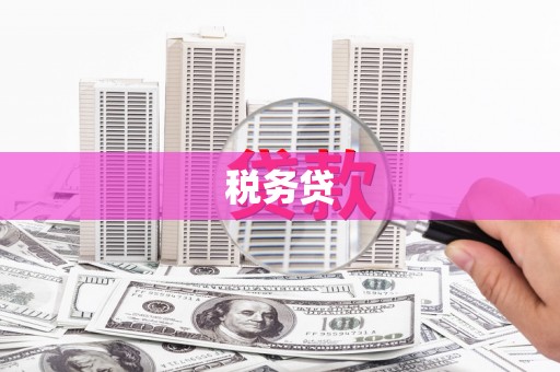 全州税务贷