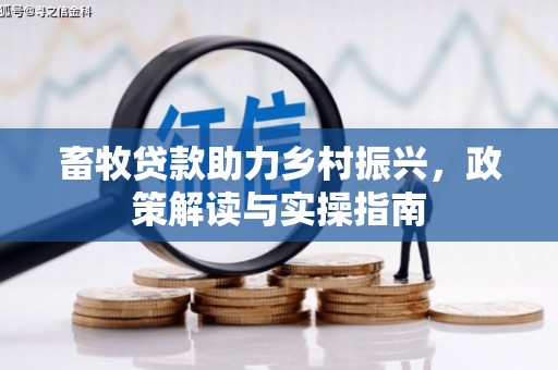 全州畜牧贷款助力乡村振兴，政策解读与实操指南