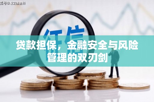 全州贷款担保，金融安全与风险管理的双刃剑