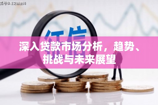 全州深入贷款市场分析，趋势、挑战与未来展望