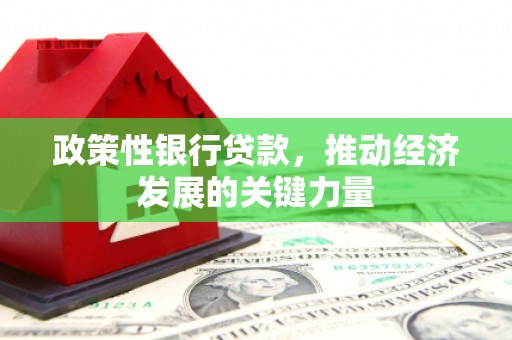 全州政策性银行贷款，推动经济发展的关键力量