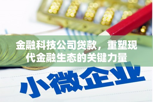 全州金融科技公司贷款，重塑现代金融生态的关键力量