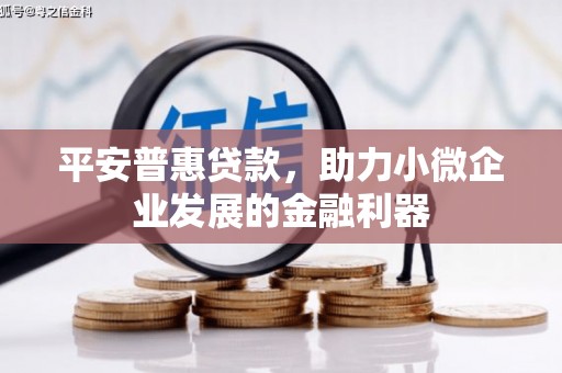 全州平安普惠贷款，助力小微企业发展的金融利器