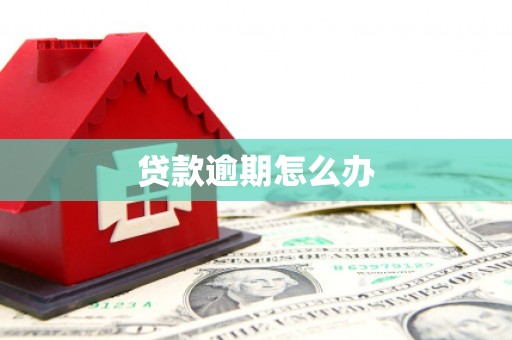 全州贷款逾期怎么办