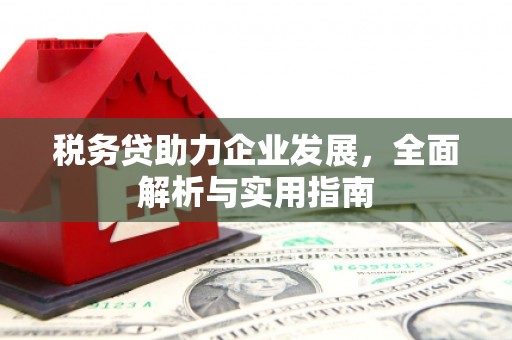 全州税务贷助力企业发展，全面解析与实用指南
