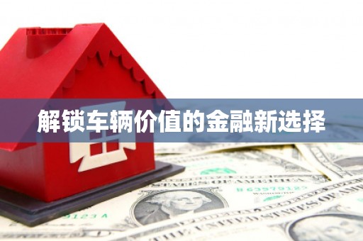 全州解锁车辆价值的金融新选择