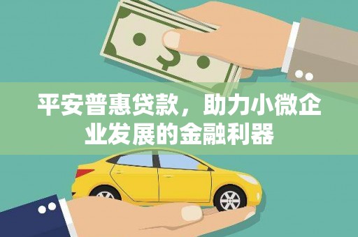 全州平安普惠贷款，助力小微企业发展的金融利器