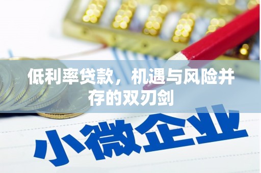 全州低利率贷款，机遇与风险并存的双刃剑