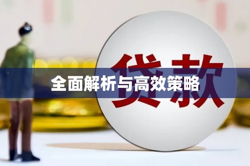 全州全面解析与高效策略