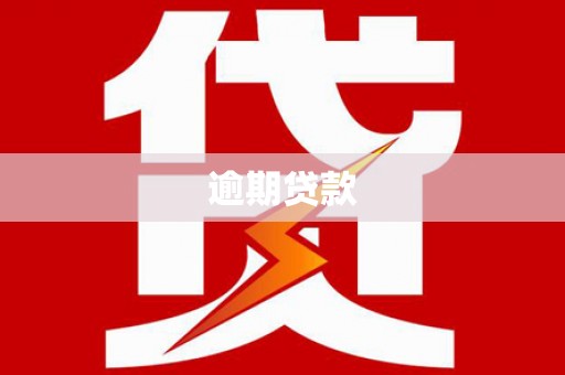 全州逾期贷款
