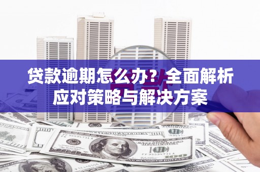 全州贷款逾期怎么办？全面解析应对策略与解决方案