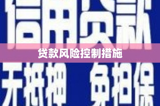 全州贷款风险控制措施