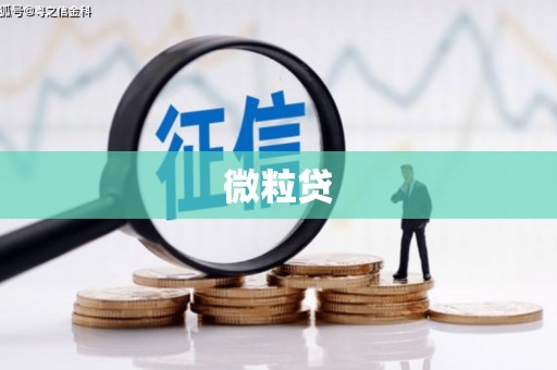 全州微粒贷