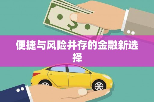 全州便捷与风险并存的金融新选择