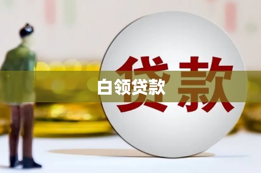 全州白领贷款