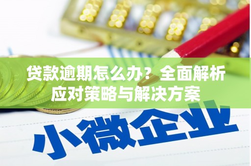 全州贷款逾期怎么办？全面解析应对策略与解决方案