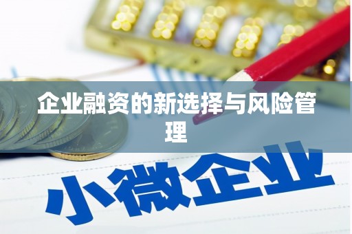 全州企业融资的新选择与风险管理