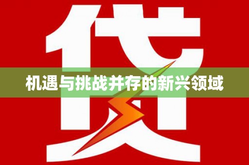 全州机遇与挑战并存的新兴领域