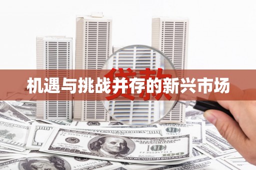 全州机遇与挑战并存的新兴市场