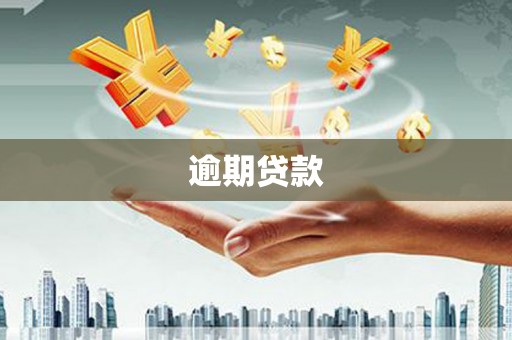 全州逾期贷款