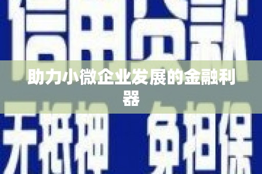 全州助力小微企业发展的金融利器