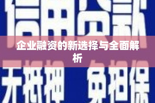 全州企业融资的新选择与全面解析