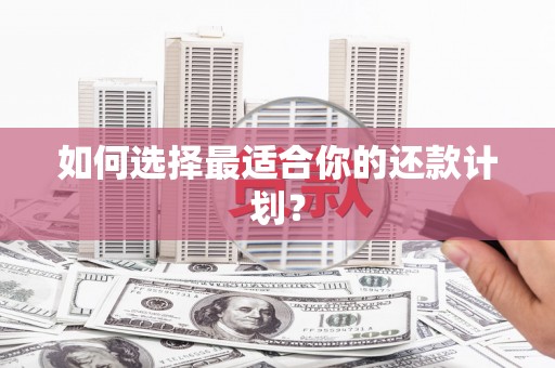 全州如何选择最适合你的还款计划？