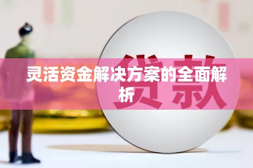 全州灵活资金解决方案的全面解析