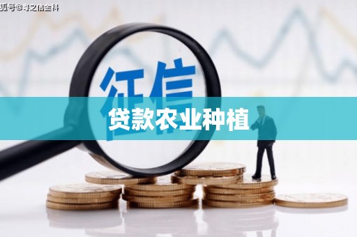 全州贷款农业种植