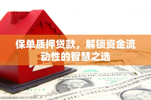 全州保单质押贷款，解锁资金流动性的智慧之选